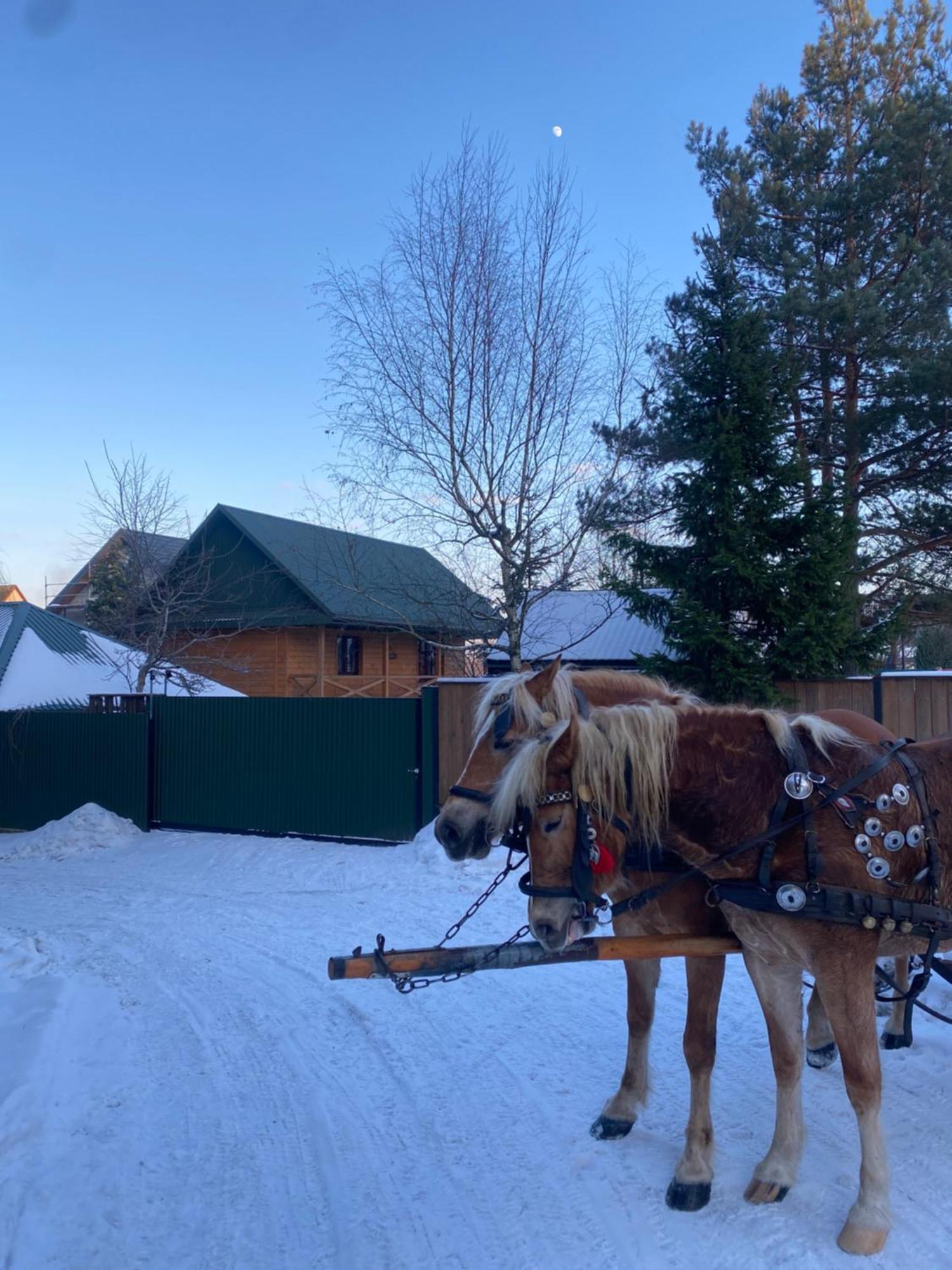 Hacjenda - Domek Caloroczny Krasnobród Exteriör bild
